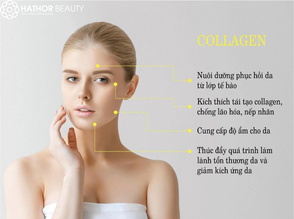 Hathor Beauty – Cohi Official