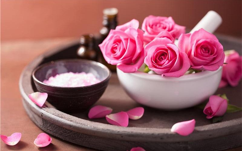 Hathor Beauty – Cohi Official