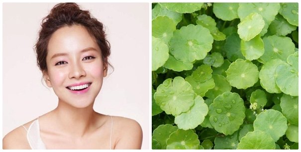 Hathor Beauty – Cohi Official