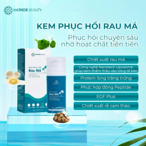 Kem phục hồi Rau Má Dưỡng ẩm Sáng da Bảo vệ da Tăng sinh Collagen cứu tinh cho da mỏng đỏ yếu Hathor Beauty 30g - Ảnh 6